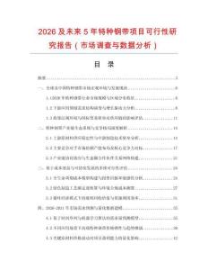 2026及未來5年特種鋼帶項目可行性研究報告（市場調查與數據分析）