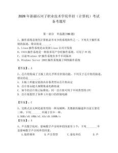 2026年新疆石河子職業技術學院單招（計算機）考試備考題庫附答案（預熱題）