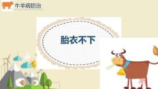 牛羊病防治：胎衣不下PPT教学课件