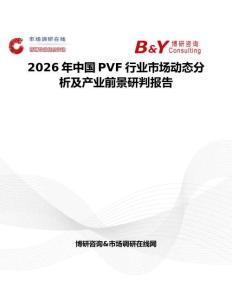 2026年中國PVF行業市場動態分析及產業前景研判報告