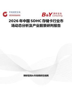 2026年中國SDHC存儲卡行業市場動態分析及產業前景研判報告