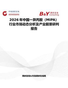 2026年中國一異丙胺（MIPA）行業市場動態分析及產業前景研判報告