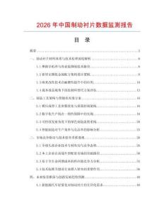 2026年中國制動襯片數據監測報告