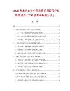 2026及未來5年小型熱風機項目可行性研究報告（市場調查與數據分析）