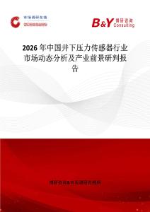 2026年中國井下壓力傳感器行業(yè)市場動態(tài)分析及產(chǎn)業(yè)前景研判報告
