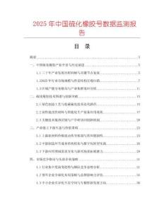 2025年中國硫化橡膠號數據監測報告