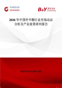 2026年中國(guó)仲辛酮行業(yè)市場(chǎng)動(dòng)態(tài)分析及產(chǎn)業(yè)前景研判報(bào)告