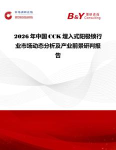 2026年中國CCK埋入式陽極鎖行業(yè)市場(chǎng)動(dòng)態(tài)分析及產(chǎn)業(yè)前景研判報(bào)告