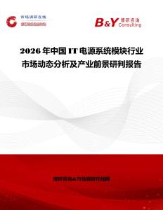2026年中國IT電源系統(tǒng)模塊行業(yè)市場動態(tài)分析及產(chǎn)業(yè)前景研判報告