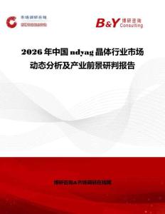 2026年中國ndyag晶體行業(yè)市場動(dòng)態(tài)分析及產(chǎn)業(yè)前景研判報(bào)告
