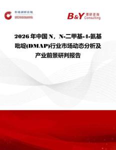 2026年中國N，N-二甲基-4-氨基吡啶(DMAP)行業(yè)市場動(dòng)態(tài)分析及產(chǎn)業(yè)前景研判報(bào)告