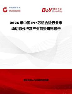 2026年中国PP芯组合垫行业市场动态分析及产业前景研判报告