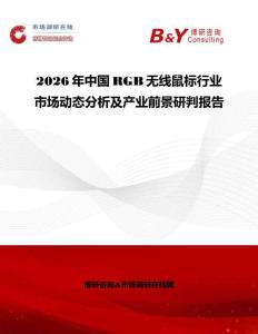 2026年中國RGB無線鼠標行業市場動態分析及產業前景研判報告