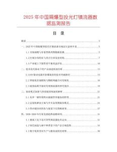 2025年中國隔爆型投光燈鎮(zhèn)流器數據監(jiān)測報告