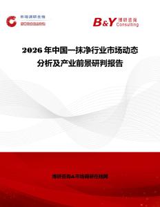 2026年中國一抹凈行業(yè)市場動態(tài)分析及產(chǎn)業(yè)前景研判報告