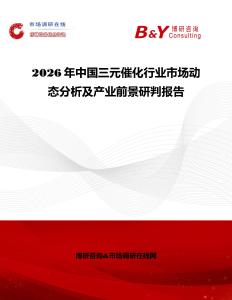 2026年中國三元催化行業(yè)市場動態(tài)分析及產(chǎn)業(yè)前景研判報告