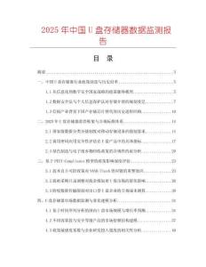 2025年中國U盤存儲器數(shù)據(jù)監(jiān)測報告
