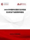 2026年中国中长假发行业市场动态分析及产业前景研判报告