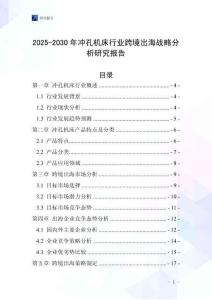 2025-2030年沖孔機(jī)床行業(yè)跨境出海戰(zhàn)略分析研究報(bào)告