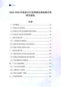 2025-2030年粘度計行業跨境出海戰略分析研究報告