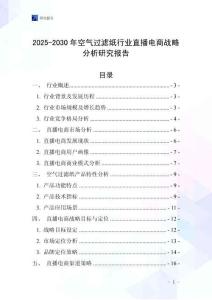 2025-2030年空氣過濾紙行業(yè)直播電商戰(zhàn)略分析研究報告
