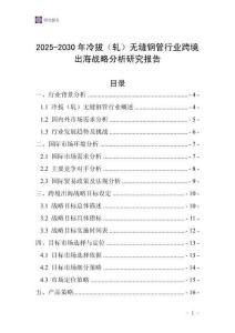2025-2030年冷拔（軋）無縫鋼管行業跨境出海戰略分析研究報告