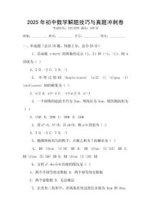2025年初中数学解题技巧与真题冲刺卷
