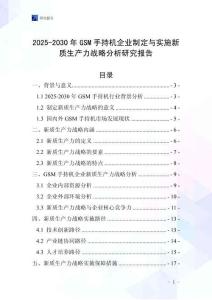 2025-2030年GSM手持機(jī)企業(yè)制定與實(shí)施新質(zhì)生產(chǎn)力戰(zhàn)略分析研究報(bào)告