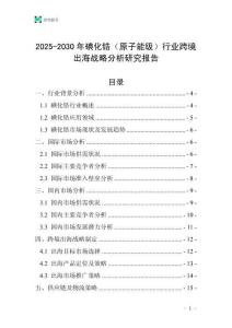 2025-2030年碘化鋯（原子能級）行業跨境出海戰略分析研究報告