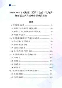 2025-2030年矩形坯（粗鋼）企業制定與實施新質生產力戰略分析研究報告