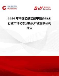 2026年中國乙酰乙酸甲酯(MAA)行業市場動態分析及產業前景研判報告
