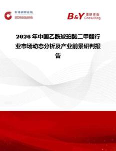 2026年中國乙酰琥珀酸二甲酯行業(yè)市場動態(tài)分析及產(chǎn)業(yè)前景研判報告