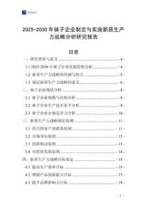 2025-2030年襪子企業(yè)制定與實施新質(zhì)生產(chǎn)力戰(zhàn)略分析研究報告