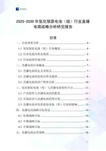 2025-2030年氧化銀原電池（組）行業(yè)直播電商戰(zhàn)略分析研究報告