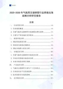 2025-2030年氣瓶用無縫鋼管行業(yè)跨境出海戰(zhàn)略分析研究報告
