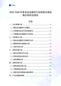 2025-2030年拳击运动器材行业跨境出海战略分析研究报告