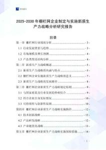 2025-2030年柵欄網企業制定與實施新質生產力戰略分析研究報告