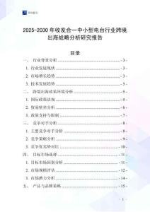 2025-2030年收發合一中小型電臺行業跨境出海戰略分析研究報告
