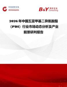 2026年中國五亞甲基二異氰酸酯（PDI）行業市場動態分析及產業前景研判報告