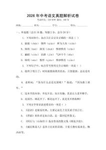 2026年中考语文真题解析试卷