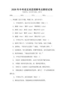 2026年中考语文阅读理解考点解析试卷