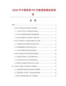 2026年中國掛鉤PE夾鏈袋數(shù)據(jù)監(jiān)測報告