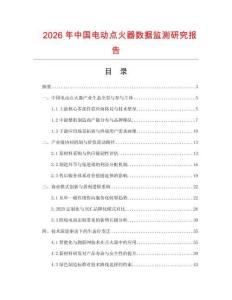 2026年中國電動點火器數據監測研究報告