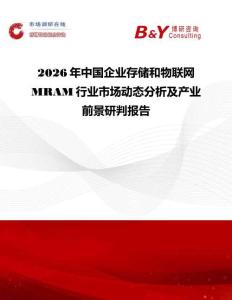 2026年中國企業存儲和物聯網MRAM行業市場動態分析及產業前景研判報告