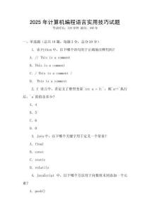 2025年計算機編程語言實用技巧試題