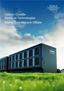 2026年碳移除報(bào)告（英文）-