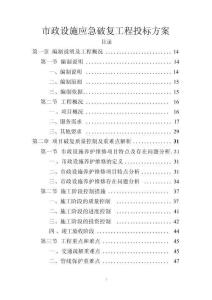 市政設施應急破復工程方案投標文件（技術(shù)標）