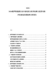 2025-2030俄羅斯能源行業市場現狀分析供給潛力投資風險評估規劃發展趨勢分析報告