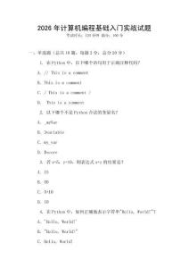 2026年計算機編程基礎入門實戰試題