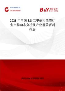 2026年中國(guó)3.3-二甲基丙烯酸行業(yè)市場(chǎng)動(dòng)態(tài)分析及產(chǎn)業(yè)前景研判報(bào)告